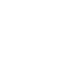 success-icon
